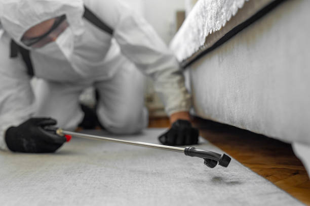 Professional Bed Bug Control technician working in Salt Lake County County, UT